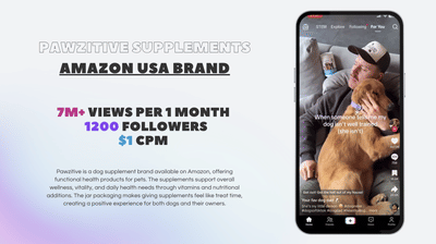 Pawzitive Pets (Pet Supplies Amazon, USA) - Content Strategy