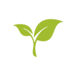 Organical - The SEO Experts