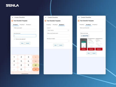 SF customization for a manufacturing company - Software Development