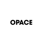 WebSite Design Agency logo