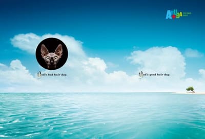 God, 1 - Publicité