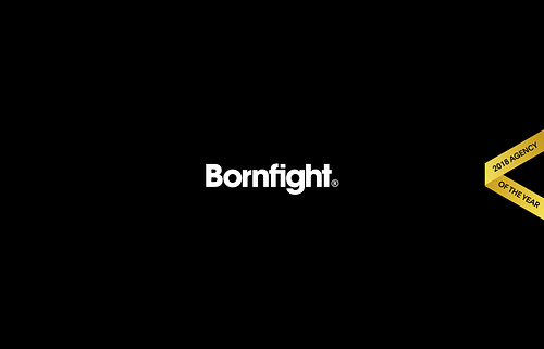 Bornfight cover