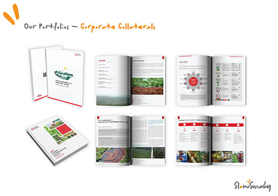 Annual Report - Design & graphisme