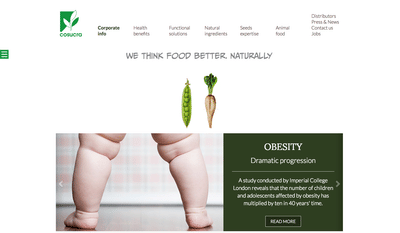 Website Cosucra - Digital Strategy