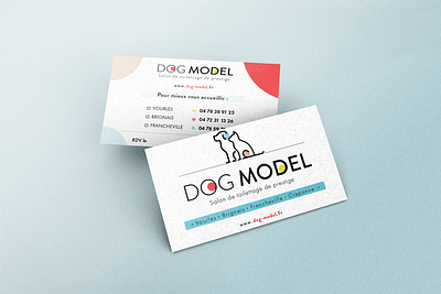 Dog Model • Salon de toilettage - Ergonomy (UX/UI)