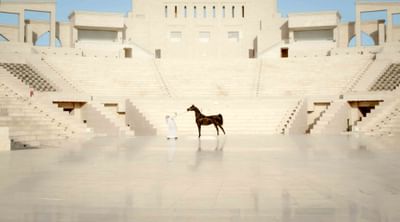 Katara International Arabian Horse Festival - Marketing