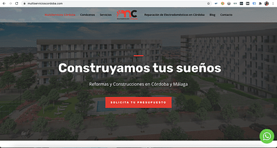 Diseño Web y Google Ads en MultiServicios Córdoba - Pubblicità online