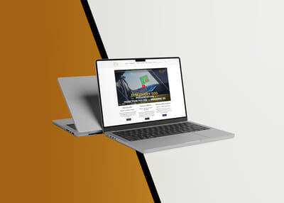 IVM Detectors - E-commerce