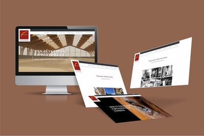Déploiement d’une stratégie de communication 360° - Création de site internet