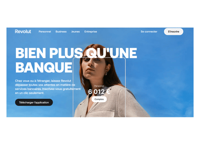 Mise en relation stratégique entre Revolut et un partenaire - Publicité en ligne