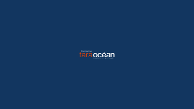 Logo identité Fondation Tara Océan - Graphic Design