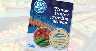 Big Marble Farms Brand, Positioning, & Creative - Branding & Positioning
