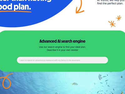Vizitio: AI-Powered Activity Booking Marketplace - Web Application