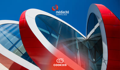 Médiacité - Stratégie, Social Media, SEO, SEA - Social media
