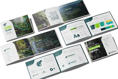 Endeavour Conservation Brand Identity - Branding & Positioning