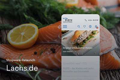 Ins Netz gegangen: Lachs.de - Webseitengestaltung