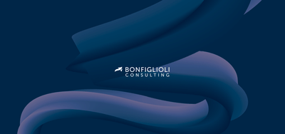 Bonfiglioli Consulting - SEO