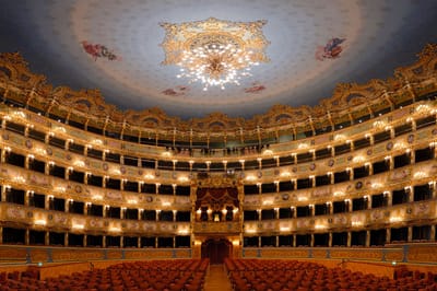 Teatro la Fenice (VE) - Digital Strategy