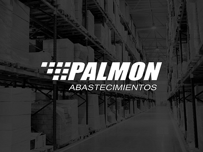 Palmon Abastecimientos - Website Creatie