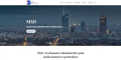 MSD Gestion - Stratégie digitale