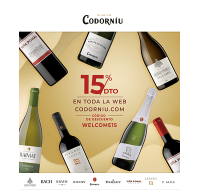 Raventós Codorníu – Branding & Awareness Spain - Email Marketing