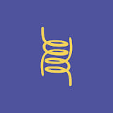 iellou design