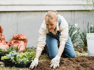 JEYES - The Great British Garden Spruce Up! - Public Relations (PR)