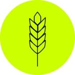 BrandOn Digital logo