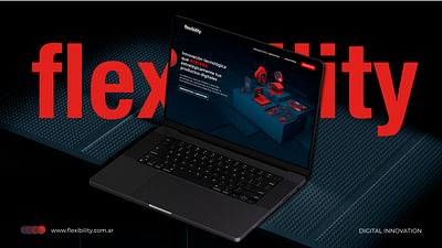 Rediseño web - flexibility - Website Creation