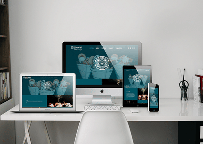 Création de la marque, supports print, siteweb - Branding & Positioning