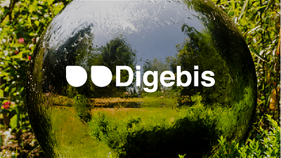 Digebis - Jardinería - SEO