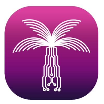 Digital Solutions Qatar : IT & Software Company