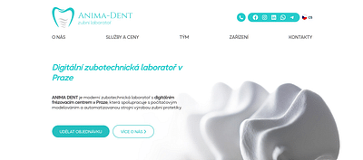 Internet presence of a dental lab - Website Creation