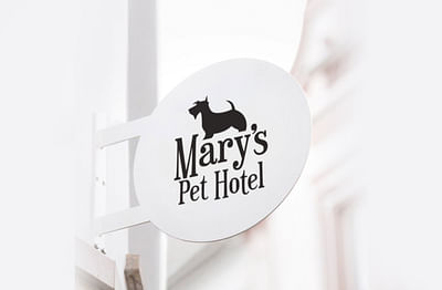 Mary's Pet Hotel - Branding y posicionamiento de marca