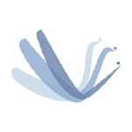 SSC SRL