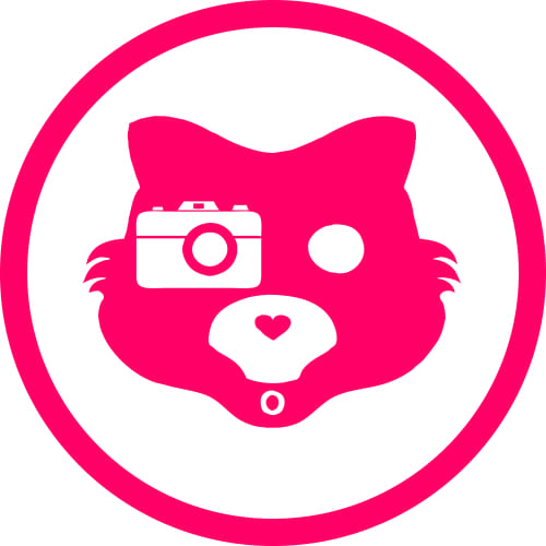 Plastikwombat Studio Fotografico