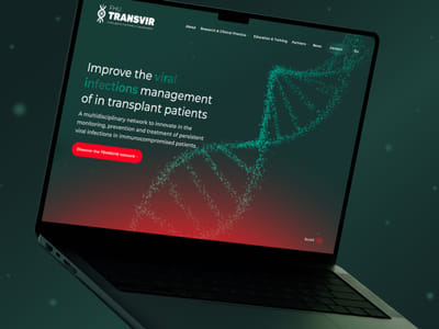 FHU Transvir I Website Creation - Website Creation