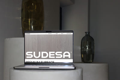 Rediseño y desarrollo Web | SUDESA - E-commerce