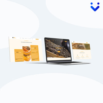 Site vitrine API Auvergne - Website Creation