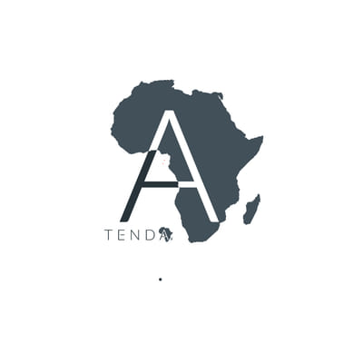 Website Design and Digital Visibility for Tenda Africa - Digital Strategy