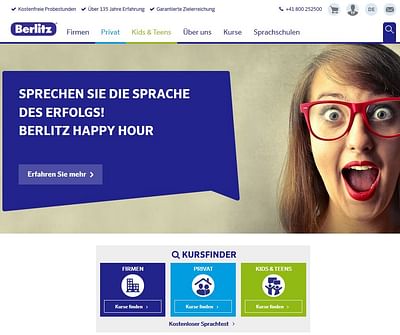 Berlitz Schools of Languages - Onlinewerbung