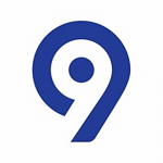 Levi9 Technology Services logo