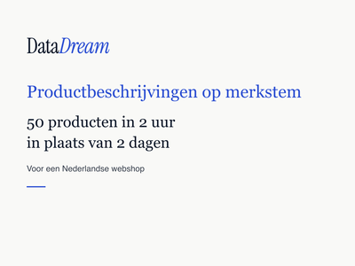 Productbeschrijvingen op merkstem: 50 producten in 2 uur, niet 2 dagen - Artificial Intelligence