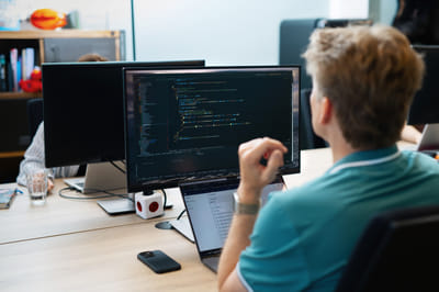 Bureau Nationale Ombudsman migratie - Software Ontwikkeling