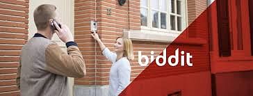 Biddit - Publicité en ligne