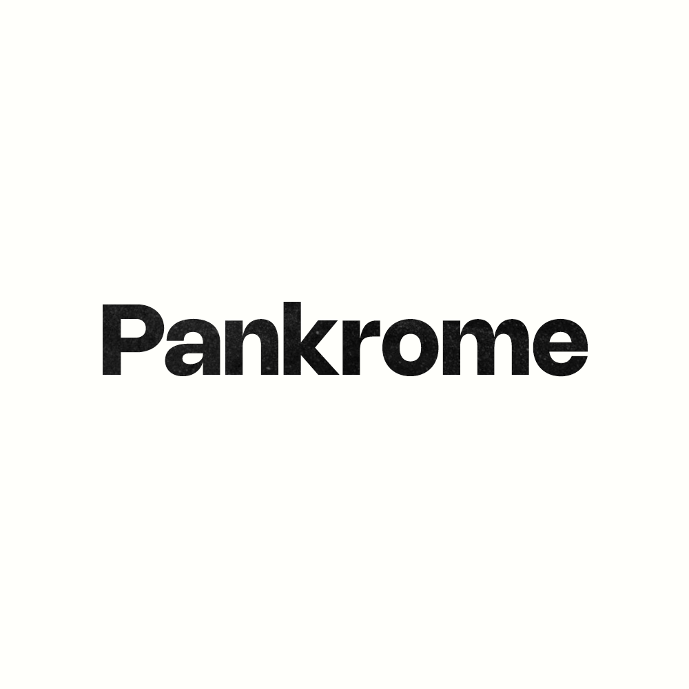 Pankrome- Agence Web à Marseille