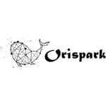 ROI Spark logo
