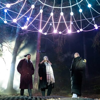 The Enchanted Forest 2025 – Public Relations Campaign - Public Relations (PR)