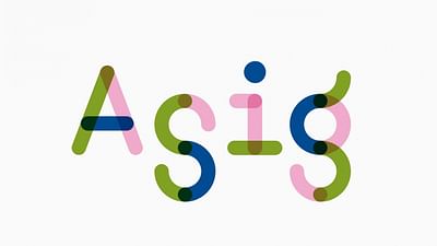 ASIG | winst voor de toekomst - Digital Strategy