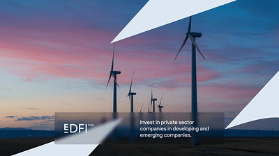 Branding and Website for EDFI asbl - Identité Graphique